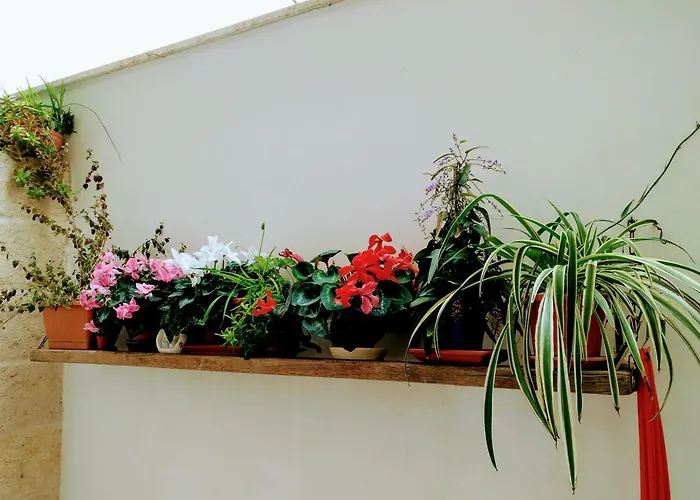 Casa Della Nonna فندق مبيت وإفطار بولينيانو آ ماري