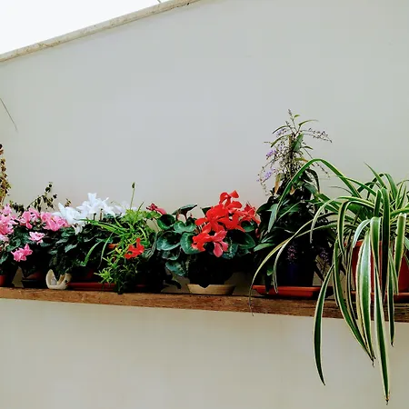 Alojamento de Acomodação e Pequeno-almoço Casa Della Nonna Polignano a Mare