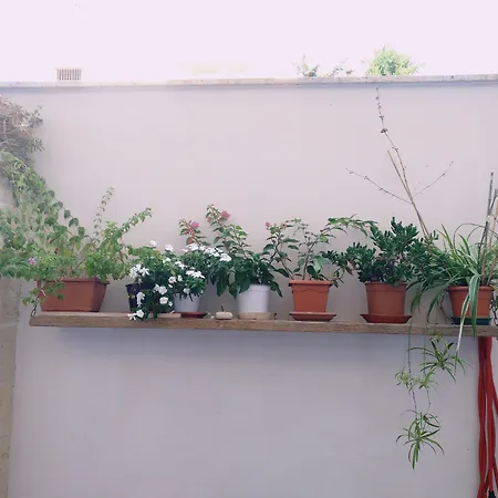 Alojamento de Acomodação e Pequeno-almoço Casa Della Nonna Polignano a Mare