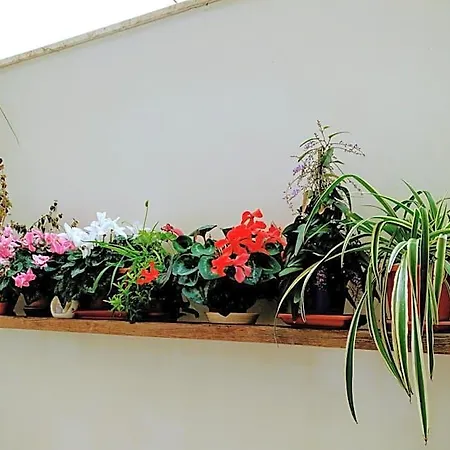 Casa Della Nonna Polignano a Mare