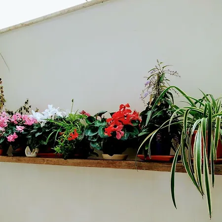 Casa Della Nonna Bed & Breakfast Polignano a Mare