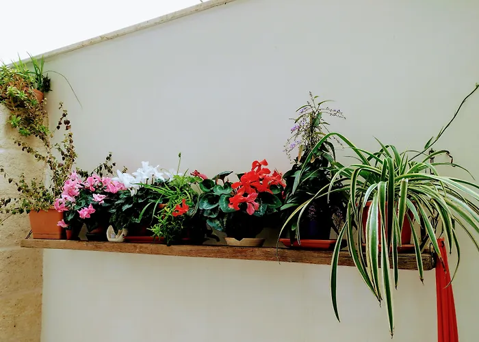 Bed and breakfast Casa Della Nonna Polignano a Mare