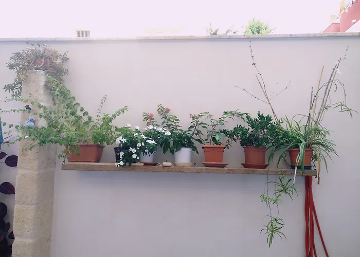 Bed and breakfast Casa Della Nonna Polignano a Mare